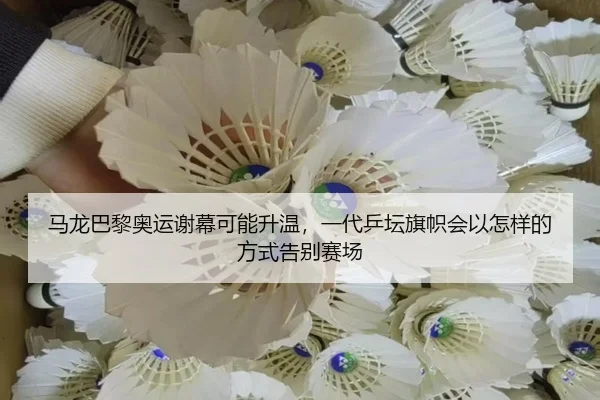 马龙巴黎奥运谢幕可能升温，一代乒坛旗帜会以怎样的方式告别赛场 - douyu